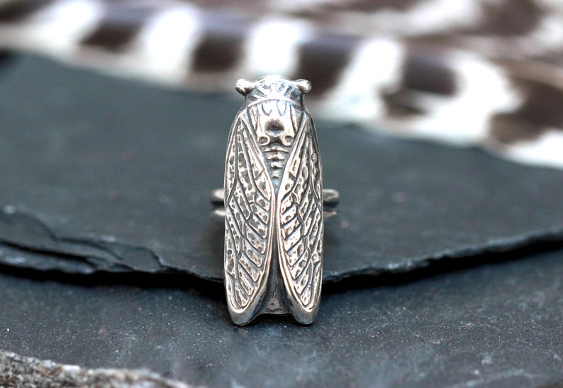 May include: A silver cicada ring with detailed wings and a textured surface.