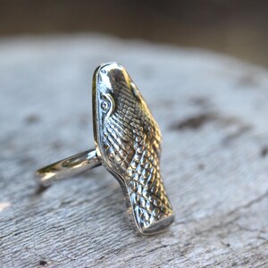 May include: A silver ring featuring a snake head design. The snake's scales are detailed and the head is facing forward.