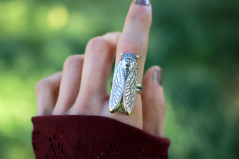 May include: A silver cicada ring with detailed wings. The ring is worn on a finger with a burgundy nail polish.