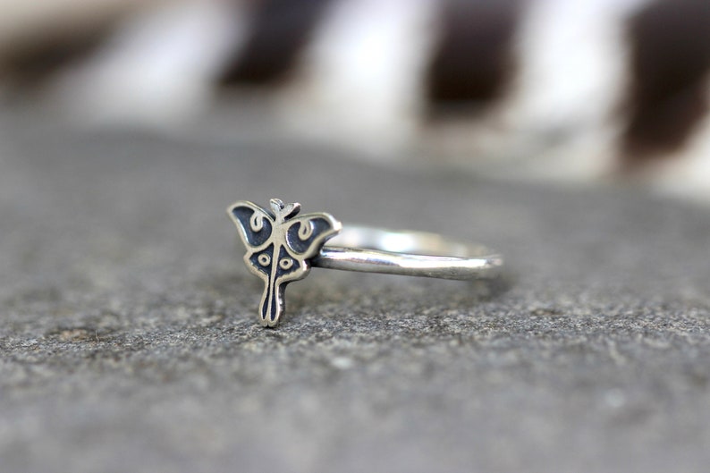 May include: A silver ring with a detailed, engraved moth design. The moth is facing forward with its wings spread out.