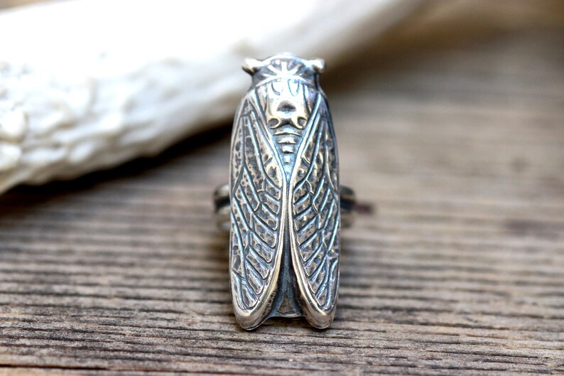 May include: A silver cicada ring with detailed wings and a textured finish.