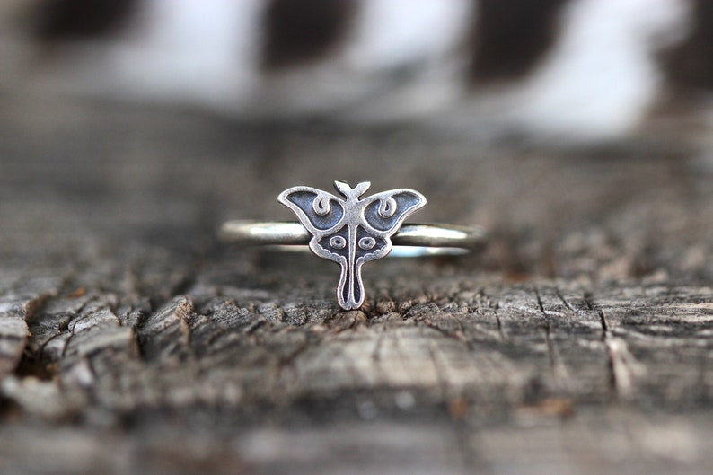May include: A silver ring with a detailed moth design. The ring is on a wooden surface.