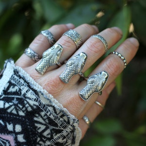 May include: A hand wearing multiple silver rings, including three snake-shaped rings. The rings are worn on different fingers.