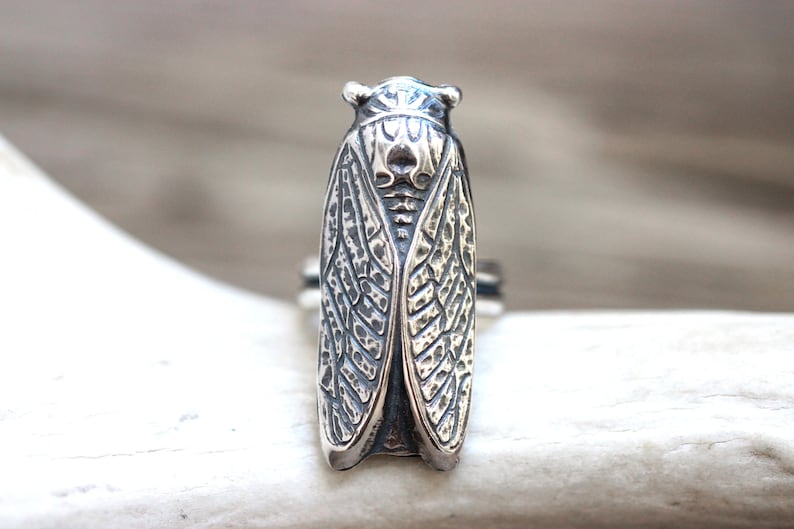 May include: A silver cicada ring with detailed wings and a textured finish.