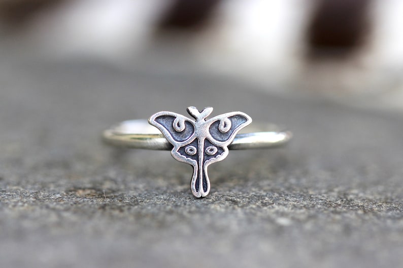 May include: A silver ring with a detailed moth design. The moth is centered on the ring and has a delicate, intricate design.