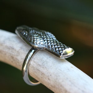 May include: A silver ring featuring a detailed alligator head design. The ring is displayed on a white background.