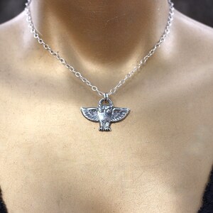 May include: A silver chain necklace with an owl pendant. The owl is detailed with wings outstretched and a textured surface.