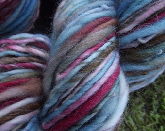 Handspun yarn, Organic Polwarth wool yarn  handpainted yarn, worsted thick and thin-Little Bird