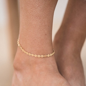 May include: A gold anklet with a delicate chain made of small, round links.