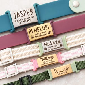 May include: A collection of personalized pet collars in various colors, including teal, burgundy, and green. Each collar features a metal nameplate with a pet's name and contact information. The collars are designed for dogs and cats.