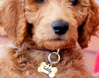 Custom Dog Tag / Cute Pet Tag / Pet ID Tag / Dog ID Tag / Personalized Pet Tag / Dog Tag / Custom ID Tag / Dog Memorial / Dog Collar Tag dt