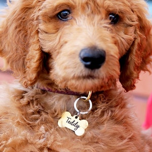 Custom Dog Tag / Cute Pet Tag / Pet ID Tag / Dog ID Tag / Personalized Pet Tag / Dog Tag / Custom ID Tag / Dog Memorial / Dog Collar Tag dt