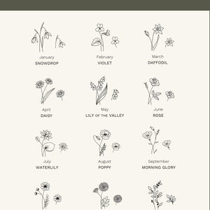 a collection of twelve different types of flowers, each with its own unique illustration, arranged in a grid format. The flowers include snowdrops, violets, daffodils, daisies, lilies, roses, daisies, lilies of the valley, roses, waterlilies, poppies, morning glory, and cosmos. The flowers are depicted in a simple, minimalist style, with each one showcasing its own distinct characteristics and beauty.