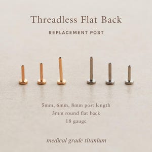 Replacement Post - Titanium Flat Back - 6mm or 8mm, Threadless Push Pin, Flat Back, Hypoallergenic, Waterproof Piercing 18 Gauge FLB