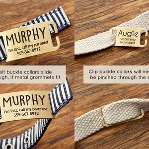 Puede incluir: Dos collares para perros con etiquetas de identificaci&oacute;n de metal dorado. El collar superior es un collar de tela a rayas blancas y negras con una hebilla de cintur&oacute;n. El collar inferior es un collar de tela blanca con una hebilla de clip. Las etiquetas de identificaci&oacute;n est&aacute;n grabadas con los nombres de los perros, los n&uacute;meros de tel&eacute;fono y "Microchipeado".