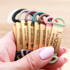 May include: A selection of pet ID tags in a range of colours: white, black, grey, purple, teal, brown, pink, and green. Each tag features a gold-coloured rectangular plate with contact details and the pet's name. Some tags have the text "microchipped" and "needs meds".