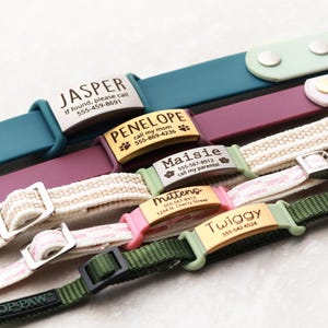 May include: A selection of pet collars in shades like teal, burgundy, and green. Each collar has a metal nameplate with a pet's name and contact details. The collars are made from materials such as nylon and silicone, with various buckle styles.