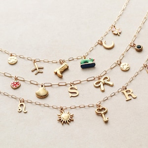 May include: Three gold-colored charm necklaces with various pendants, including a paw print, airplane, cowboy boot, strawberry, seashell, letter "S", bow, letter "R", sun, and key. The charms are attached to a delicate chain.