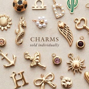 Add a Charm - Custom Charm Necklaces and Bracelets, TomDesign Custom Jewelry NEMO