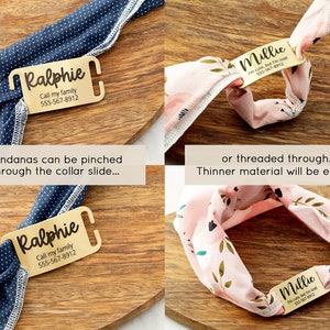 Puede incluir: Dos chapas de perro doradas con nombres y n&uacute;meros de tel&eacute;fono grabados. Las chapas se muestran con dos bandanas diferentes, una azul con lunares blancos y otra rosa con estampado floral. Las chapas se pueden pellizcar o enhebrar a trav&eacute;s de la bandana.