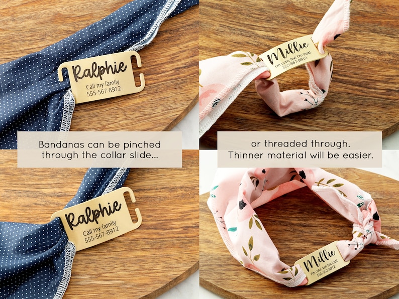 Puede incluir: Dos chapas de perro doradas con nombres y n&uacute;meros de tel&eacute;fono grabados. Las chapas se muestran con dos bandanas diferentes, una azul con lunares blancos y otra rosa con estampado floral. Las chapas se pueden pellizcar o enhebrar a trav&eacute;s de la bandana.