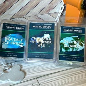 Kingdom Hearts Inspired Soy Wax Melts | Sea Salt Ice Cream | Destiny Islands | The World That Never Was | Video Game Scented Wax Melts