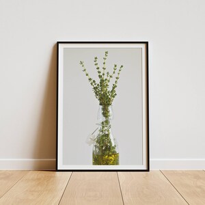 Thyme Kitchen Print: Rustic Botanical Art (Digital Download)