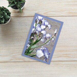 Peut inclure: Gros plan sur une carte avec une photographie d'iris blancs et violets. Les fleurs sont nettes et l'arrière-plan est flou.