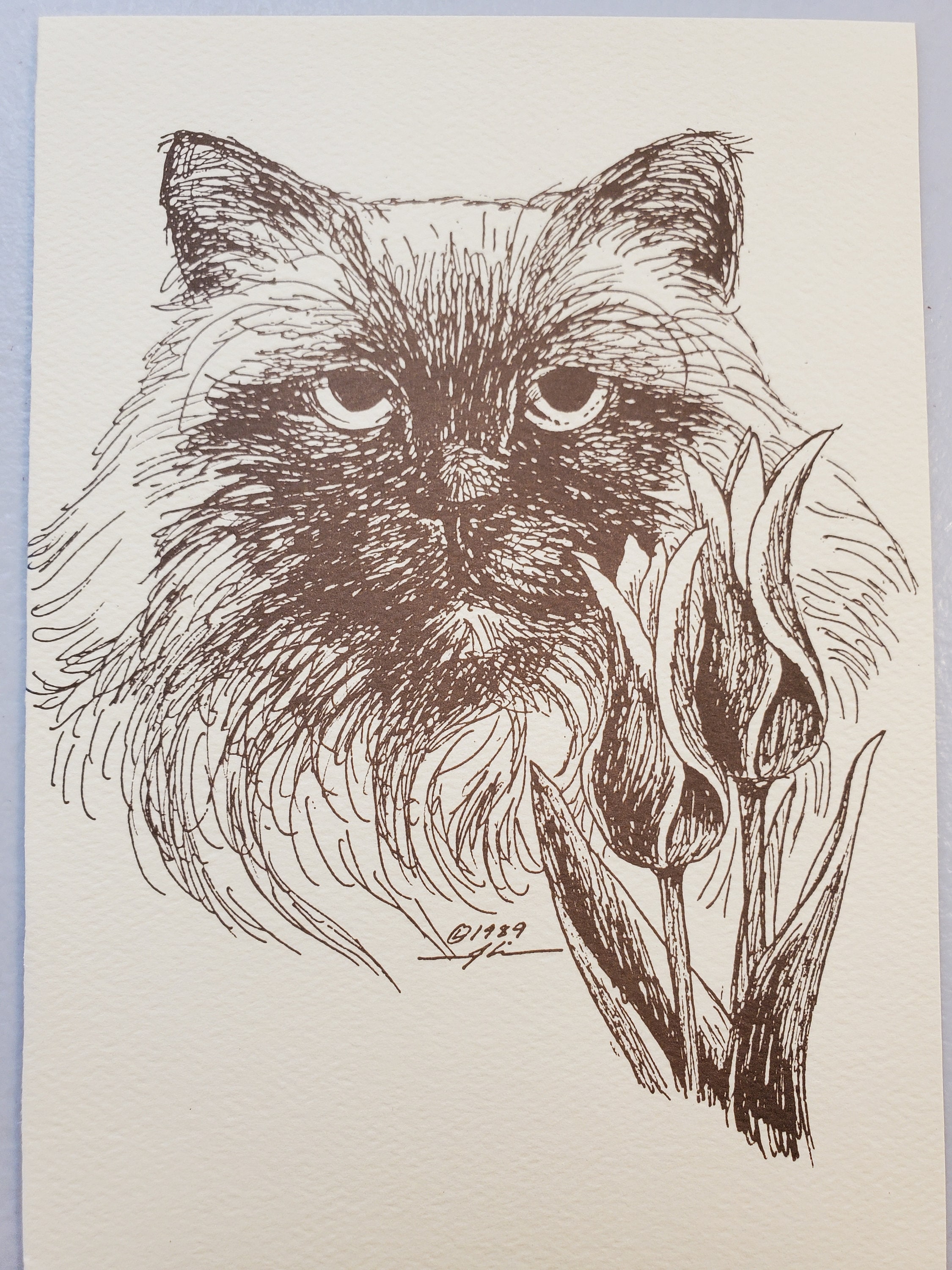 Set of 12 Assorted Floral Cat Note Cards - Etsy