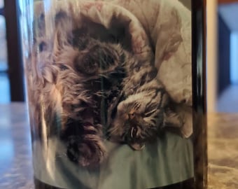 It's a Trap! Sophie the Maine Coon Cat Coffee Mug