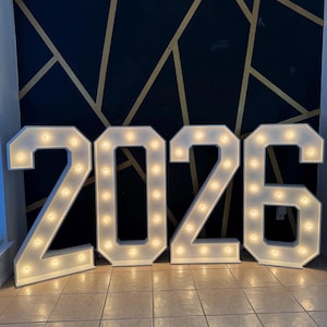 MARQUEE Light up Letters/numbers Price per EACH Letter (4ft-3ft-2ft ...