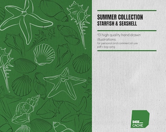 Kolekcja 13 ilustracji rozgwiazd i muszli | Wysoka jakość | Ręcznie rysowana grafika liniowa | Clipart | Pobieranie cyfrowe | Wykorzystanie komercyjne
