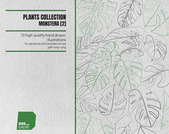 Kolekcja 13 ilustracji liści Monstera nr 2 | Wysokiej jakości ręcznie rysowane rośliny, grafika liniowa, clipart | Pobieranie cyfrowe | Wykorzystanie komercyjne