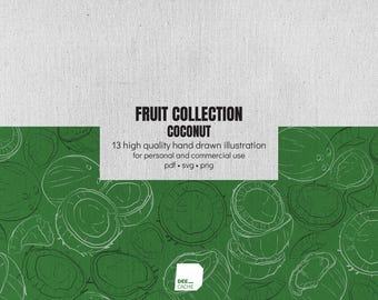Kolekcja 13 ilustracji kokosa | Wysoka jakość | Ręcznie rysowane owoce w formie linii | Clipart | Pobieranie cyfrowe | Wykorzystanie komercyjne
