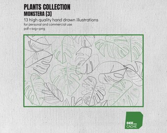 Kolekcja 13 ilustracji liści Monstera nr 3 | Wysokiej jakości ręcznie rysowane rośliny, grafika liniowa, clipart | Pobieranie cyfrowe | Wykorzystanie komercyjne