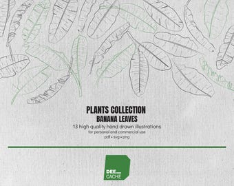 Kolekcja 13 ilustracji liści bananowca | Wysoka jakość | Ręcznie rysowana grafika liniowa | Clipart | Pobieranie cyfrowe | Wykorzystanie komercyjne