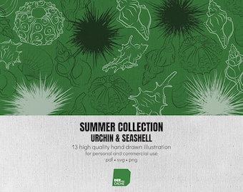 Kolekcja 13 ilustracji jeżowca i muszli | Wysoka jakość | Ręcznie rysowana grafika liniowa | Clipart | Pobieranie cyfrowe | Wykorzystanie komercyjne