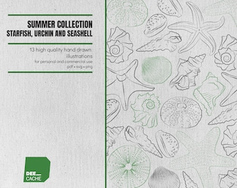 Kolekcja 13 ilustracji rozgwiazd, jeżowców i muszli | Wysoka jakość | Ręcznie rysowana grafika liniowa | Clipart | Pobieranie cyfrowe | Wykorzystanie komercyjne