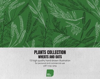 Kolekcja 13 ilustracji pszenicy i owsa | Wysoka jakość | Rysowane ręcznie | Grafika liniowa roślin Clip Art | Pobieranie cyfrowe | Wykorzystanie komercyjne
