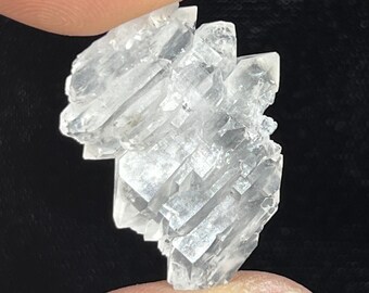 Double Terminated Quartz Crystal DTXTL2008 Find The Strength, Individuality And Independence That You Need To Succeed Outside Of The Group