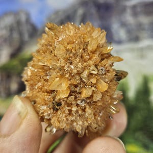 May include: A cluster of small, golden-brown crystals, resembling a flower, is held in a hand. The crystals are sharp and pointed, with a rough texture.