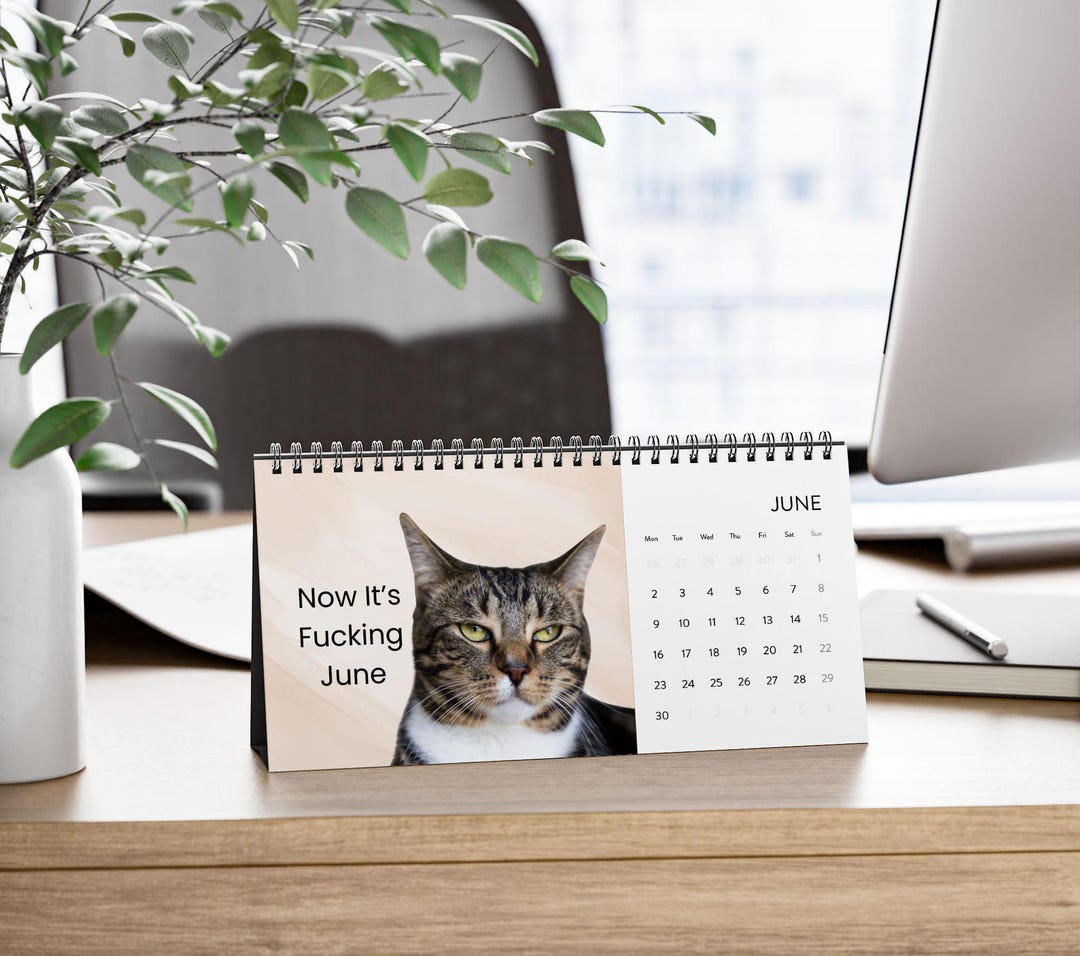 Grumpy Fucking Cat 2025 Desk Calendar,funny Cat Calendar 2025,grumpy