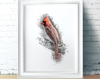 Illustration numérique northern cardinal