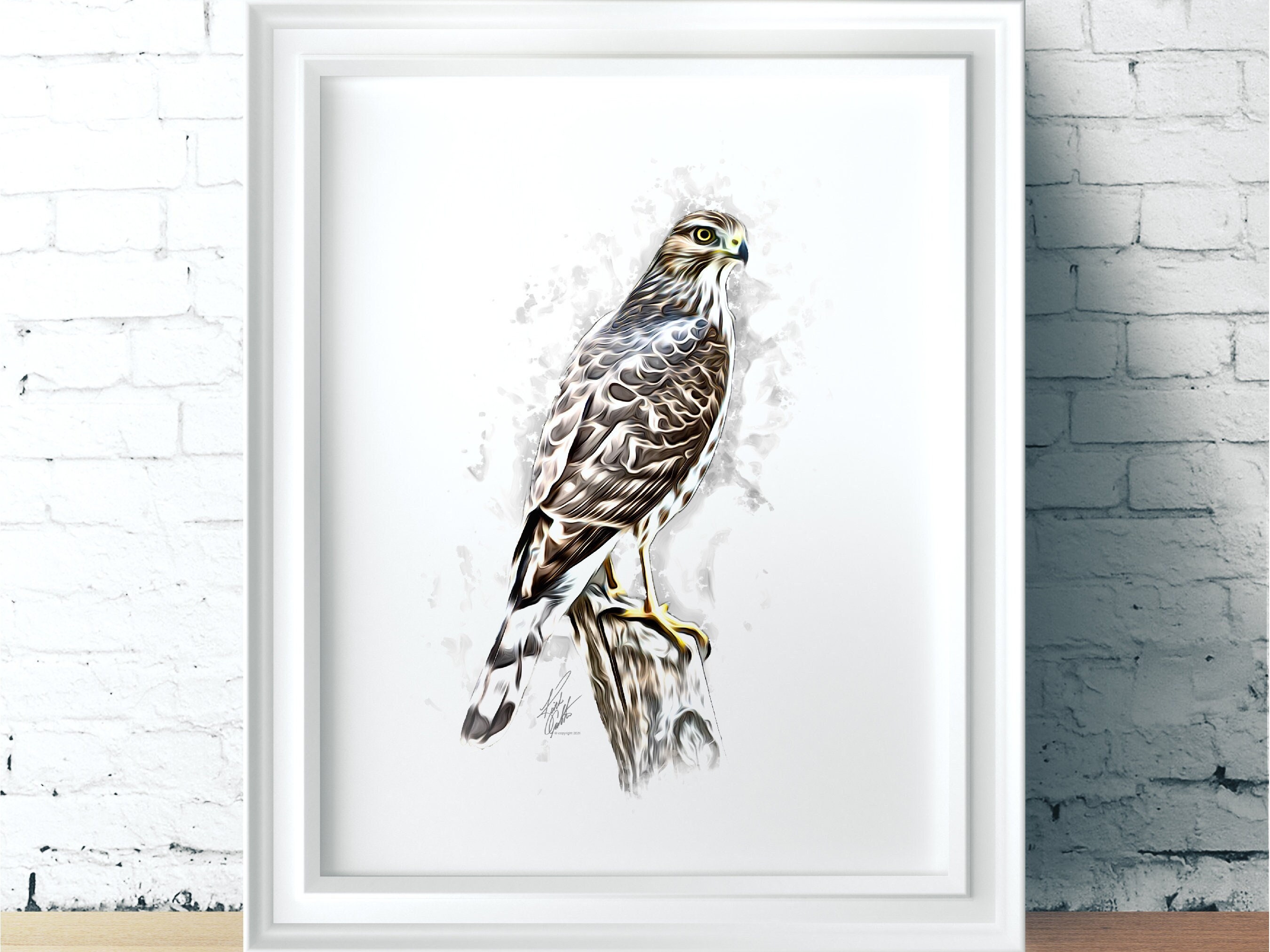 Printable Minimalist Coopers Hawk Digital Illustration - Etsy