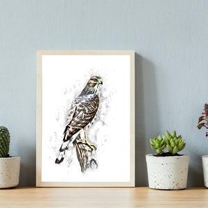 Printable Minimalist Coopers Hawk Digital Illustration - Etsy
