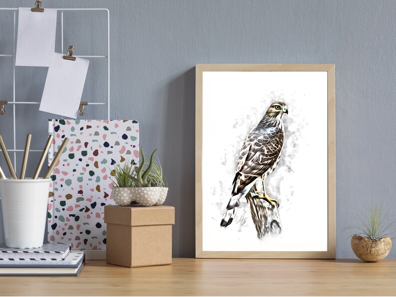 Printable Minimalist Coopers Hawk Digital Illustration - Etsy