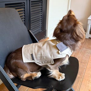 One-Piece Dog Outdoor Vest
