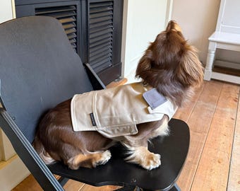 One-Piece Dog Outdoor Vest