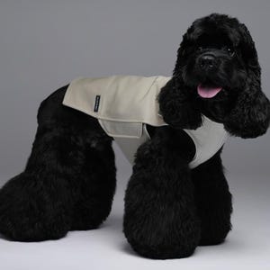 One-Piece Dog Outdoor Vest