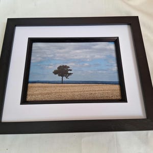 Puede incluir: Impresión enmarcada de un paisaje con un árbol solitario en un campo bajo un cielo nublado. La impresión está enmarcada con un passe-partout blanco y un marco de madera negro, para decoración de pared.